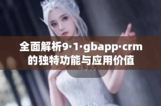 全面解析9·1·gbapp·crm的獨特功能與應(yīng)用價值