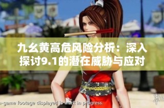 九幺黃高危風(fēng)險(xiǎn)分析：深入探討9.1的潛在威脅與應(yīng)對(duì)措施