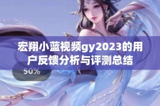宏翔小藍視頻gy2023的用戶反饋分析與評測總結(jié)