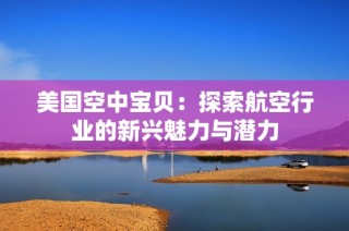 美國空中寶貝：探索航空行業(yè)的新興魅力與潛力