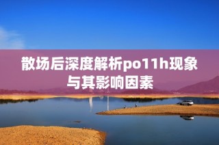 散場后深度解析po11h現(xiàn)象與其影響因素