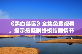 《黑白禁區(qū)》全集免費(fèi)觀看，揭示懸疑劇終極結(jié)局情節(jié)解析