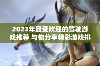 2023年最受歡迎的駕駛游戲推薦 與你分享精彩游戲排行