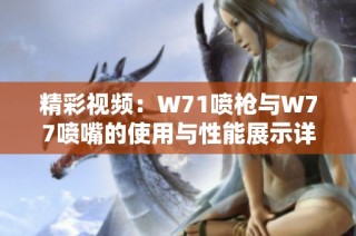 精彩視頻：W71噴槍與W77噴嘴的使用與性能展示詳解