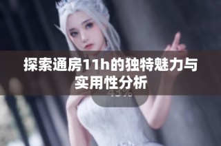 探索通房11h的獨(dú)特魅力與實(shí)用性分析