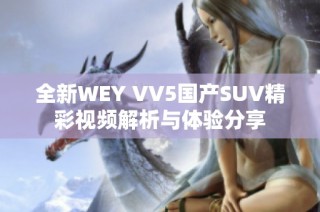 全新WEY VV5國產(chǎn)SUV精彩視頻解析與體驗分享