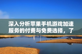 深入分析蘋果手機(jī)游戲加速服務(wù)的付費(fèi)與免費(fèi)選擇，了解各類工具的特點(diǎn)