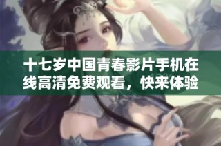 十七歲中國青春影片手機(jī)在線高清免費(fèi)觀看，快來體驗(yàn)感動故事