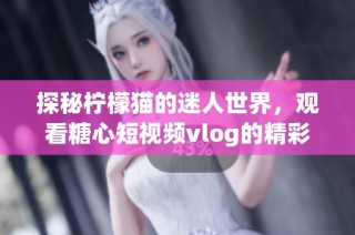 探秘檸檬貓的迷人世界，觀看糖心短視頻vlog的精彩瞬間