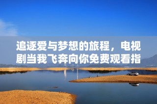 追逐愛與夢(mèng)想的旅程，電視劇當(dāng)我飛奔向你免費(fèi)觀看指南