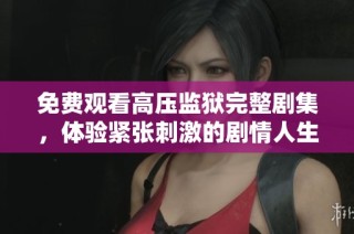 免費(fèi)觀看高壓監(jiān)獄完整劇集，體驗(yàn)緊張刺激的劇情人生