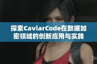 探索CaviarCode在數(shù)據(jù)加密領(lǐng)域的創(chuàng)新應(yīng)用與實(shí)踐