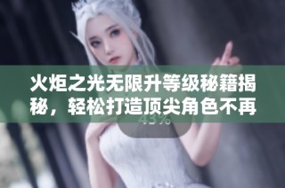 火炬之光無(wú)限升等級(jí)秘籍揭秘，輕松打造頂尖角色不再是夢(mèng)想！