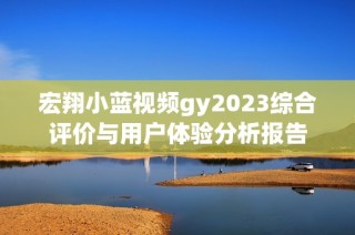 宏翔小藍(lán)視頻gy2023綜合評(píng)價(jià)與用戶體驗(yàn)分析報(bào)告