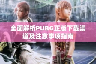 全面解析PUBG正版下載渠道及注意事項指南