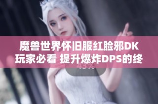 魔獸世界懷舊服紅臉邪DK玩家必看 提升爆炸DPS的終極攻略解析