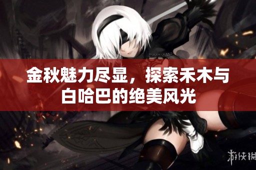 金秋魅力盡顯，探索禾木與白哈巴的絕美風(fēng)光