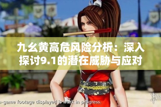 九幺黃高危風險分析：深入探討9.1的潛在威脅與應對措施