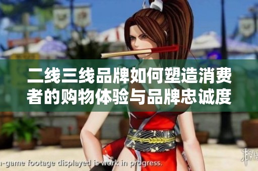 二線三線品牌如何塑造消費(fèi)者的購物體驗(yàn)與品牌忠誠度