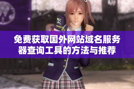 免費(fèi)獲取國外網(wǎng)站域名服務(wù)器查詢工具的方法與推薦