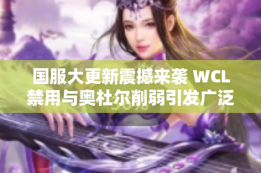 國(guó)服大更新震撼來(lái)襲 WCL禁用與奧杜爾削弱引發(fā)廣泛討論