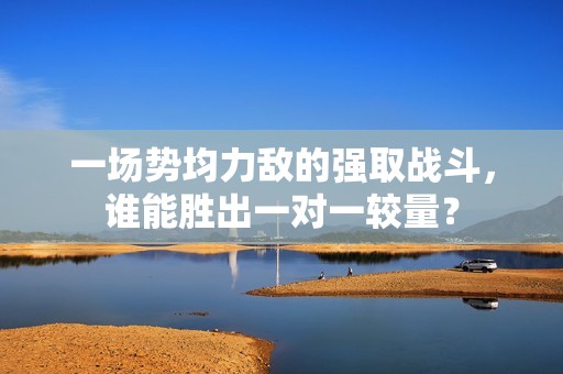一場(chǎng)勢(shì)均力敵的強(qiáng)取戰(zhàn)斗，誰(shuí)能勝出一對(duì)一較量？