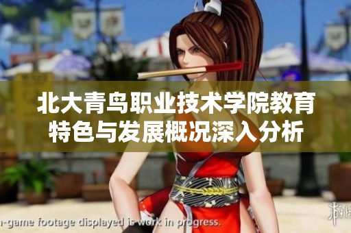 北大青鳥職業(yè)技術(shù)學(xué)院教育特色與發(fā)展概況深入分析