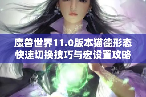 魔獸世界11.0版本貓德形態(tài)快速切換技巧與宏設置攻略