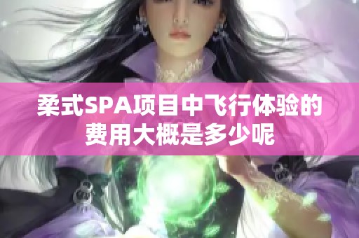 柔式SPA項目中飛行體驗的費用大概是多少呢