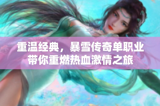 重溫經(jīng)典，暴雪傳奇單職業(yè)帶你重燃熱血激情之旅