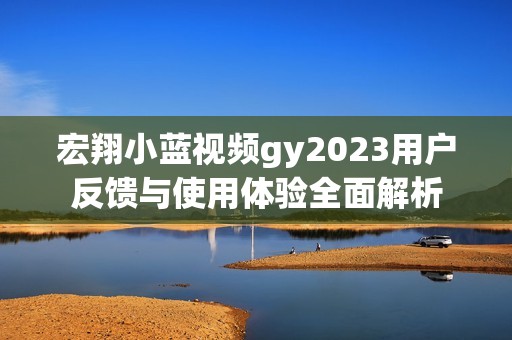 宏翔小藍(lán)視頻gy2023用戶反饋與使用體驗(yàn)全面解析