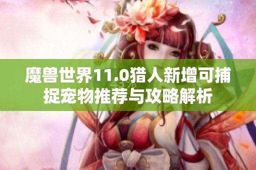 魔獸世界11.0獵人新增可捕捉寵物推薦與攻略解析