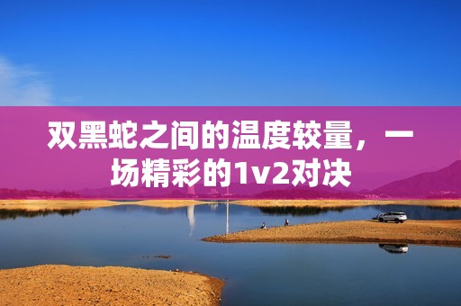 雙黑蛇之間的溫度較量，一場精彩的1v2對決