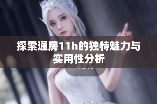 探索通房11h的獨(dú)特魅力與實(shí)用性分析