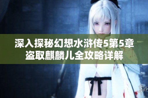 深入探秘幻想水滸傳5第5章盜取麒麟兒全攻略詳解