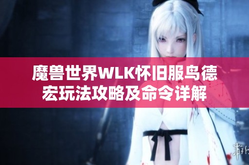 魔獸世界WLK懷舊服鳥德宏玩法攻略及命令詳解