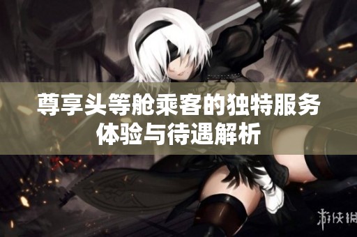 尊享頭等艙乘客的獨特服務體驗與待遇解析