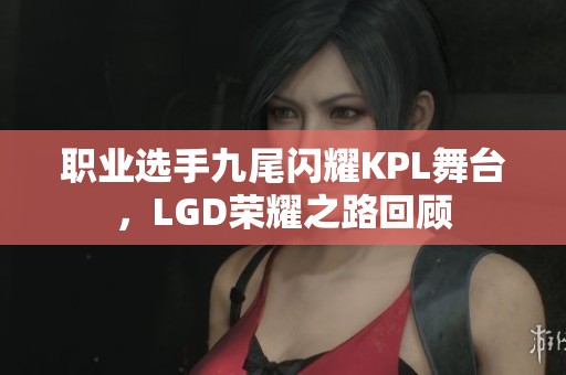 職業(yè)選手九尾閃耀KPL舞臺，LGD榮耀之路回顧