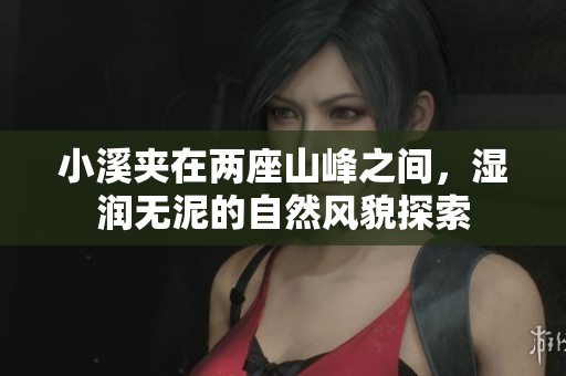 小溪夾在兩座山峰之間，濕潤(rùn)無泥的自然風(fēng)貌探索