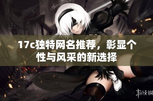 17c獨特網(wǎng)名推薦，彰顯個性與風(fēng)采的新選擇