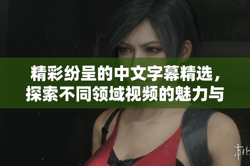 精彩紛呈的中文字幕精選，探索不同領(lǐng)域視頻的魅力與樂(lè)趣