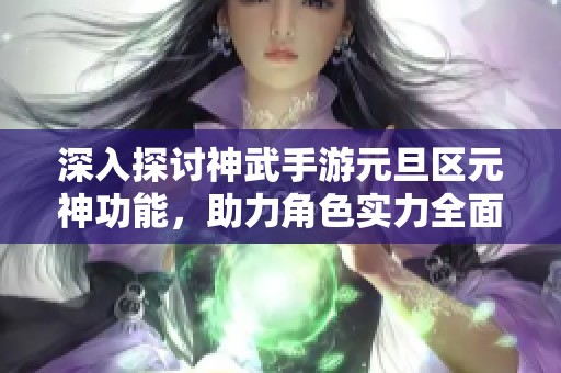 深入探討神武手游元旦區(qū)元神功能，助力角色實力全面提升攻略