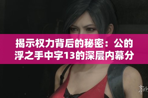 揭示權(quán)力背后的秘密：公的浮之手中字13的深層內(nèi)幕分析