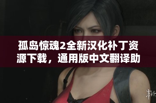 孤島驚魂2全新漢化補(bǔ)丁資源下載，通用版中文翻譯助你暢享游戲體驗(yàn)