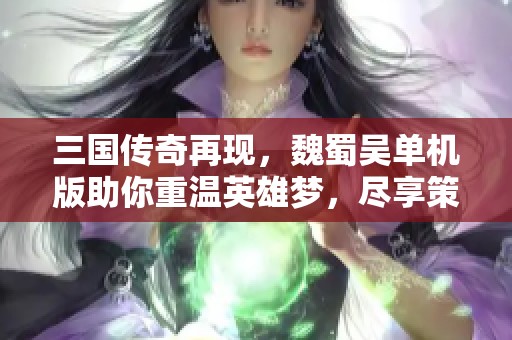 三國傳奇再現(xiàn)，魏蜀吳單機版助你重溫英雄夢，盡享策略對決樂趣