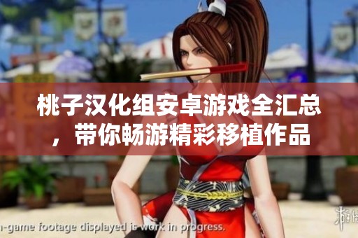 桃子漢化組安卓游戲全匯總，帶你暢游精彩移植作品