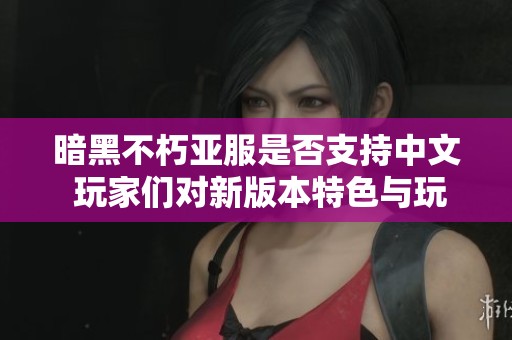 暗黑不朽亞服是否支持中文 玩家們對新版本特色與玩法的熱烈討論