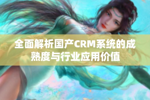 全面解析國產CRM系統(tǒng)的成熟度與行業(yè)應用價值