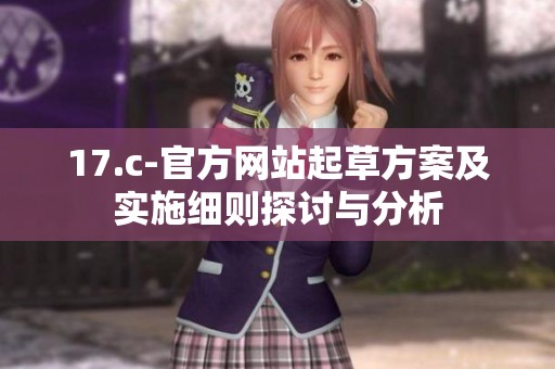17.c-官方網(wǎng)站起草方案及實(shí)施細(xì)則探討與分析