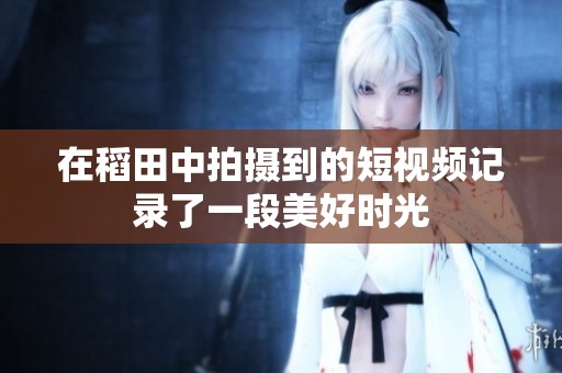 在稻田中拍攝到的短視頻記錄了一段美好時(shí)光